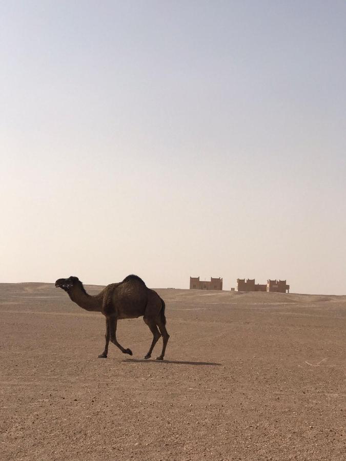 Villa Erg Chegaga Camp & Activites M’hamid El Ghizlane Exterior foto