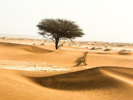 Villa Erg Chegaga Camp & Activites M’hamid El Ghizlane Exterior foto